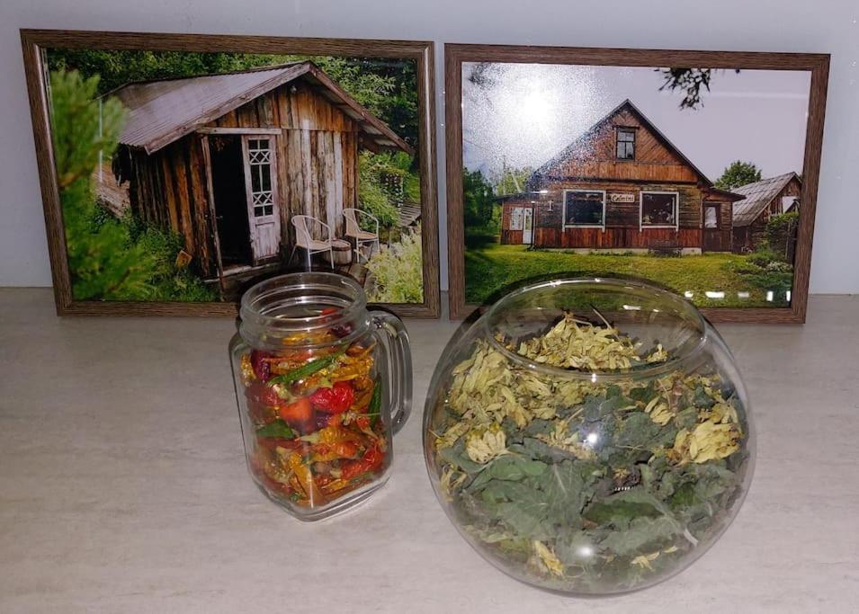 Spicy Studio In Art Nouveau District, Culture Trip Riga Ngoại thất bức ảnh
